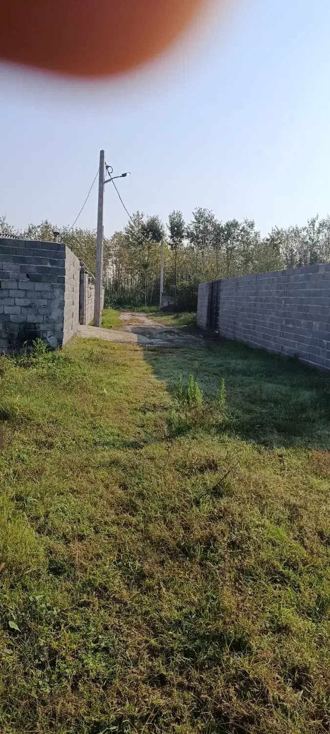 زمین مسکونی|فروش زمین و ملک کلنگی|لاهیجان, خالو باغ|دیوار