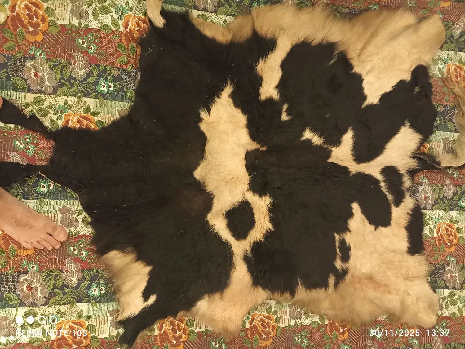 فروش پوست طبیعی طبی و زینتی|آرایشی، بهداشتی، درمانی|مراغه, |دیوار