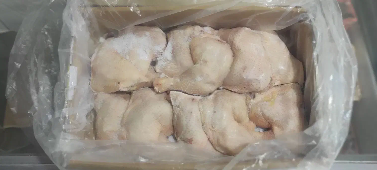 مرغ منجمد کیلویی 135|خوردنی و آشامیدنی|اهرم, |دیوار