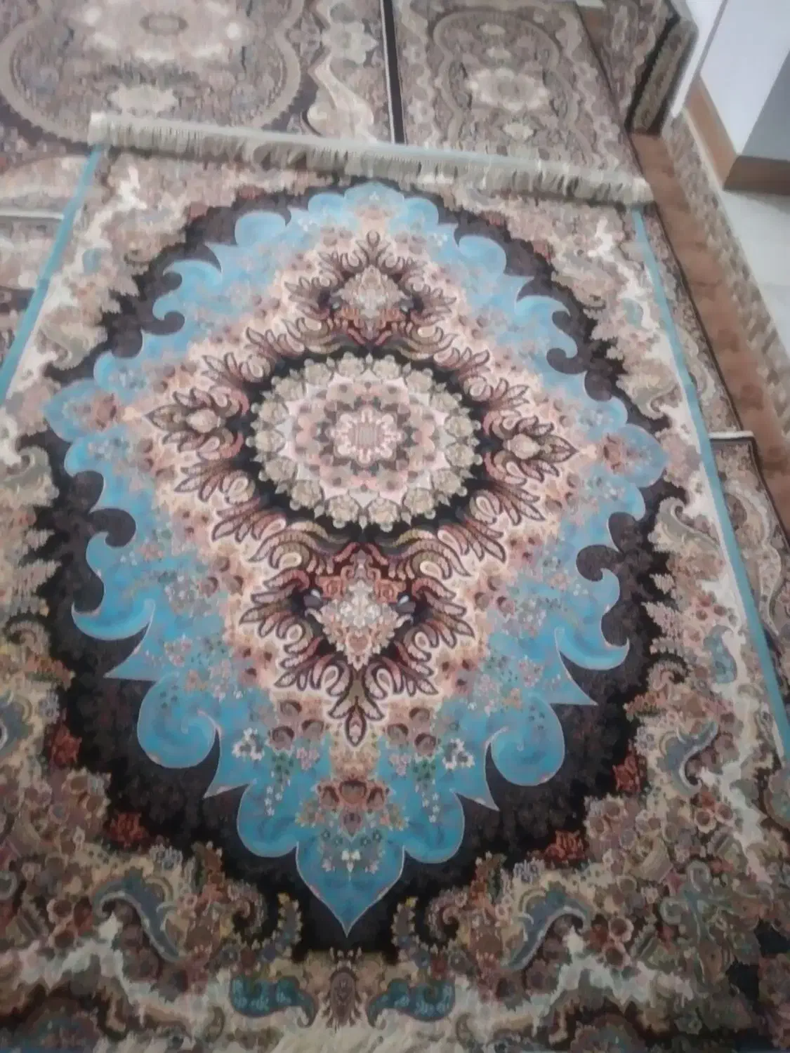 فرش 6 متری نو خوش رنگ|فرش|سنندج, |دیوار