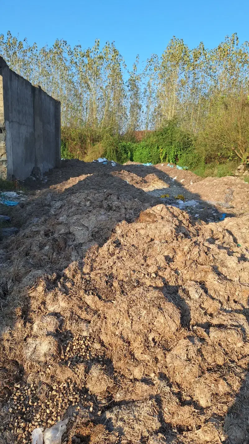 کود چرب کمپوست|خدمات باغبانی و درختکاری|بندر انزلی, چهارفریضه|دیوار