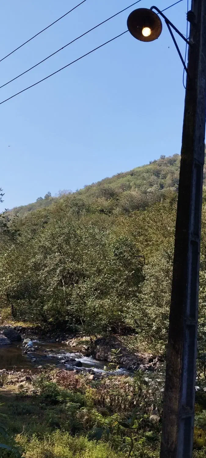 زمین کشاورزی ۸۶۰۰ متری|فروش دفتر صنعتی، کشاورزی، تجاری|اطاقور, |دیوار