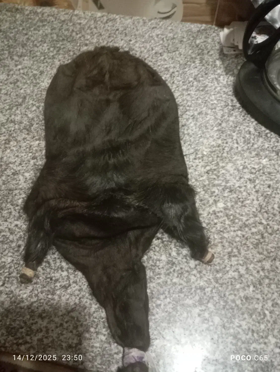 خیگ|ظروف نگهدارنده، پلاستیکی، یک‌بارمصرف|لردگان, |دیوار