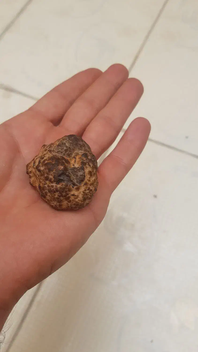 شهاب سنگ|کلکسیون اشیاء عتیقه|میمند, |دیوار