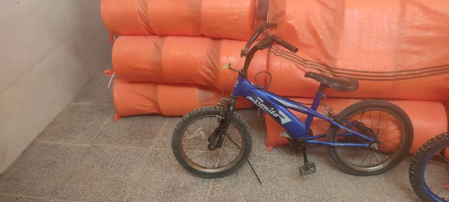 دوچرخه سالم|دوچرخه، اسکیت، اسکوتر|اشکذر, |دیوار