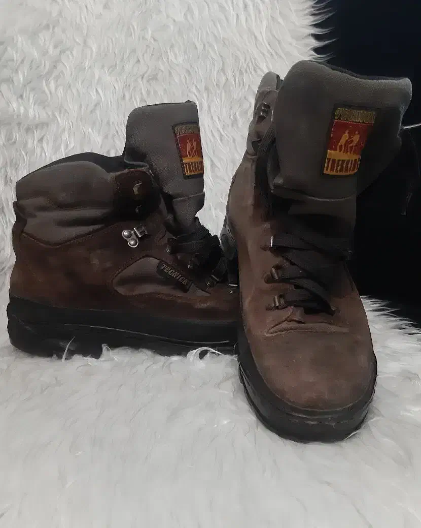 کفش کوهنوردی تکنیکا|کوهنوردی و کمپینگ|کرج, عظیمیه|دیوار