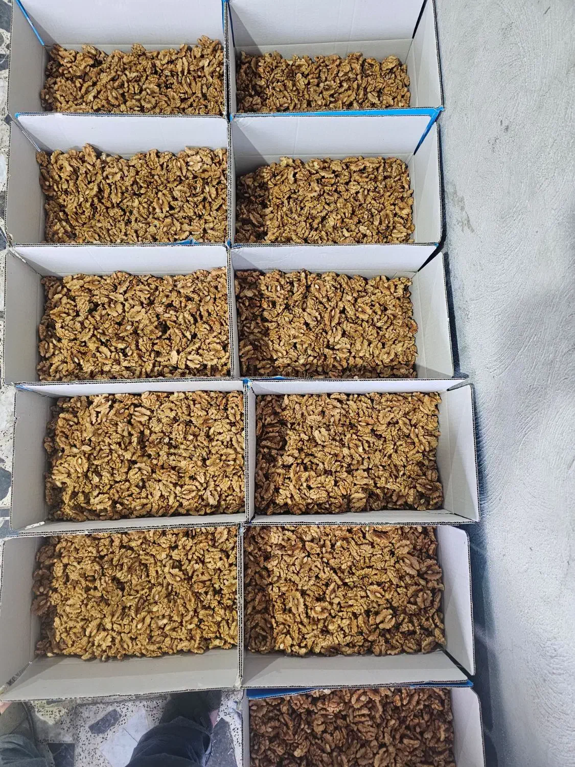 فروش ویژه گردو مغزه عمده|خوردنی و آشامیدنی|دلوار, |دیوار