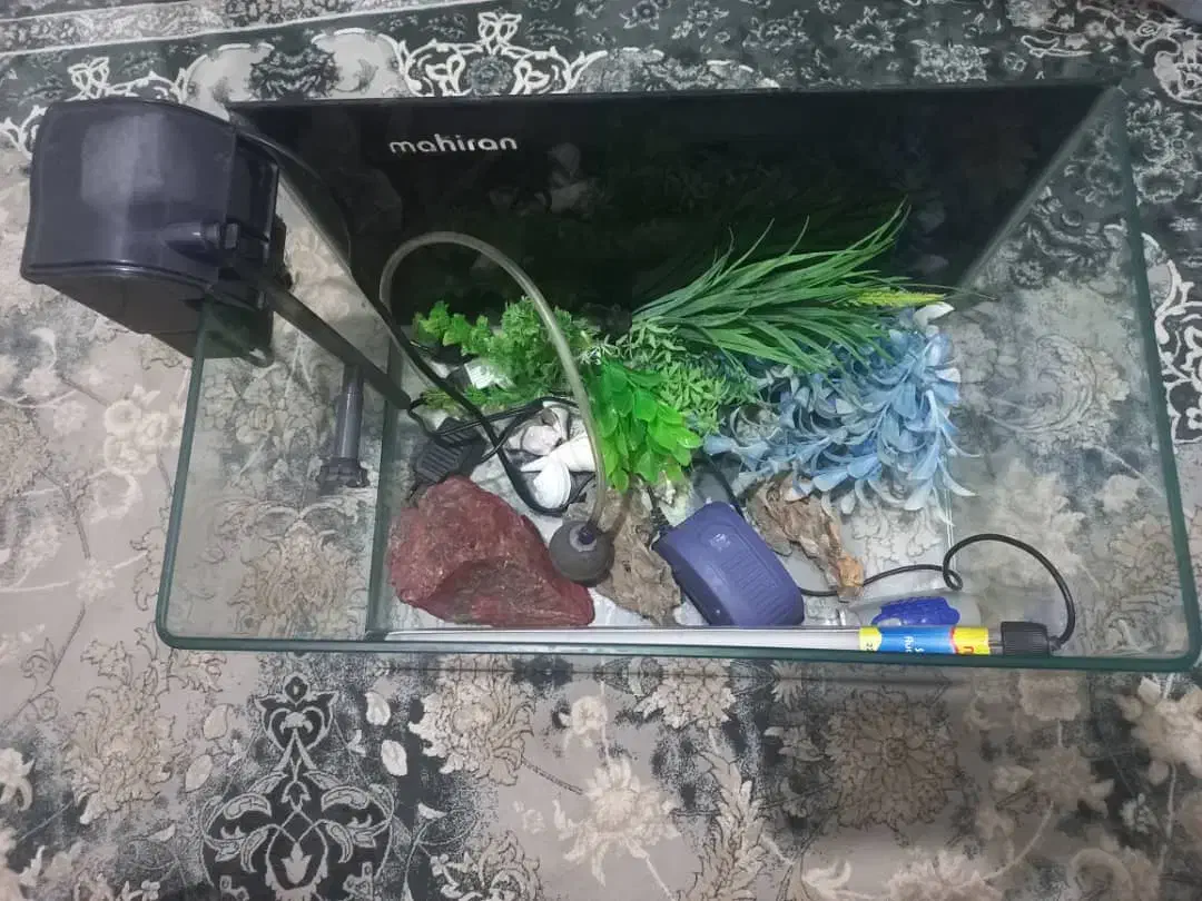 آکواریوم ماهیران و فیلتر سطلی|ماهی|اهواز, ۲۵۴دستگاه|دیوار