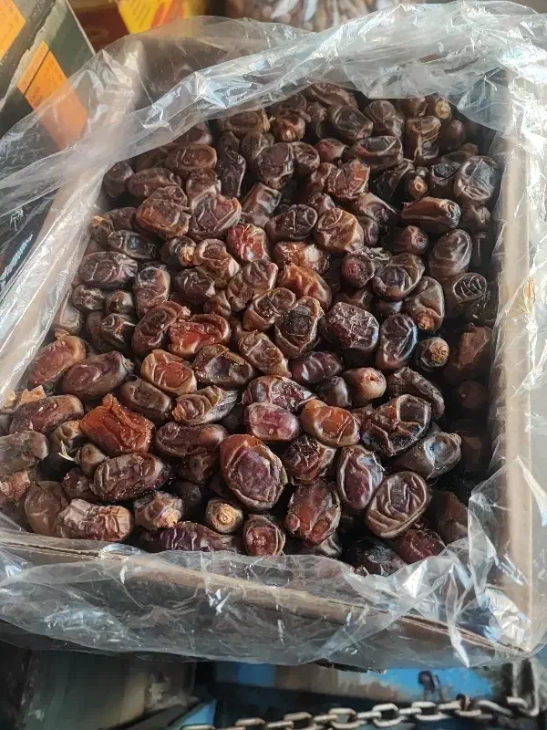 خرمازاهدی|عمده‌فروشی|سروآباد, |دیوار