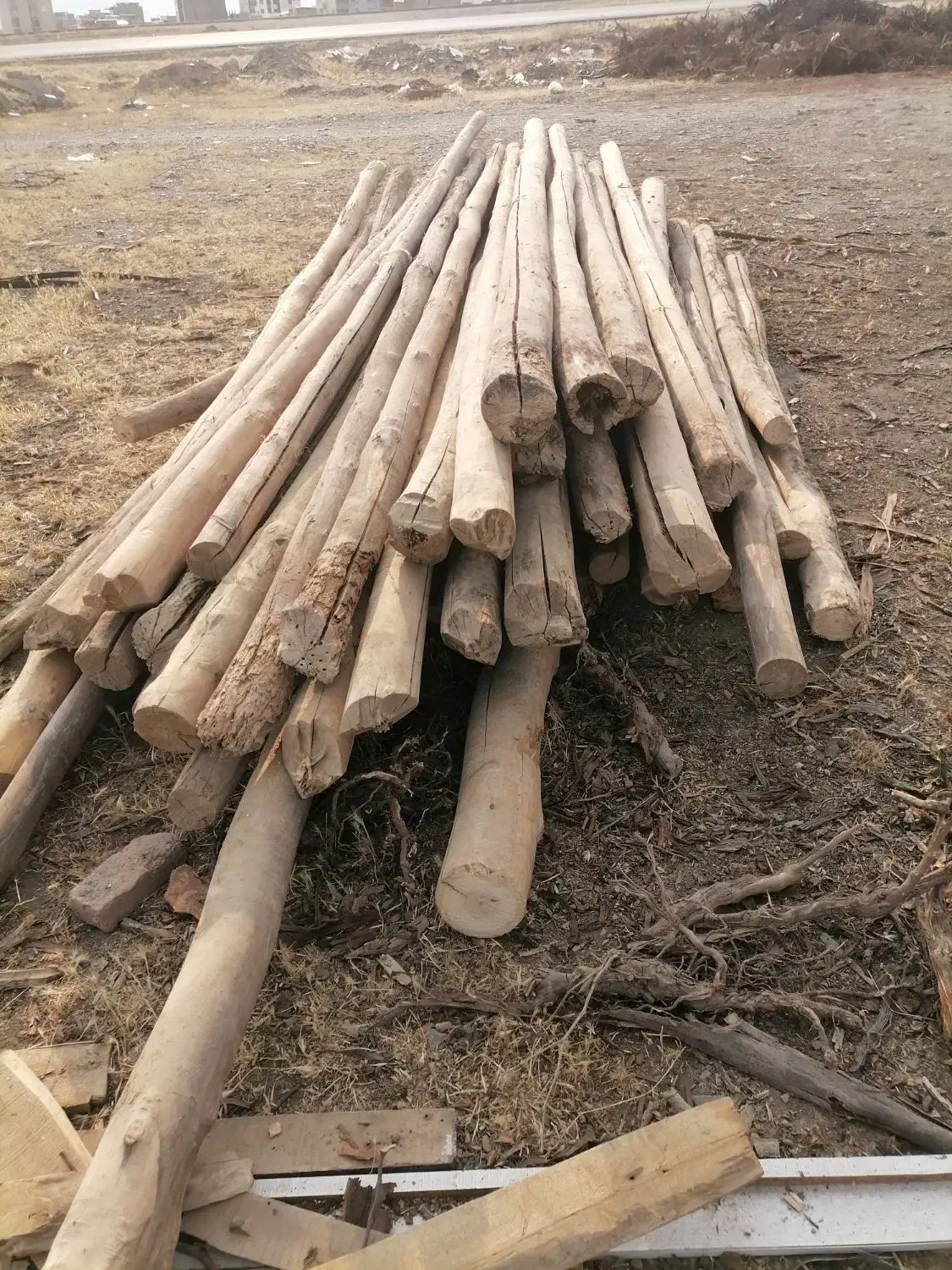 خرید انواع چوب تر و خشک|خدمات باغبانی و درختکاری|اسدآباد, |دیوار