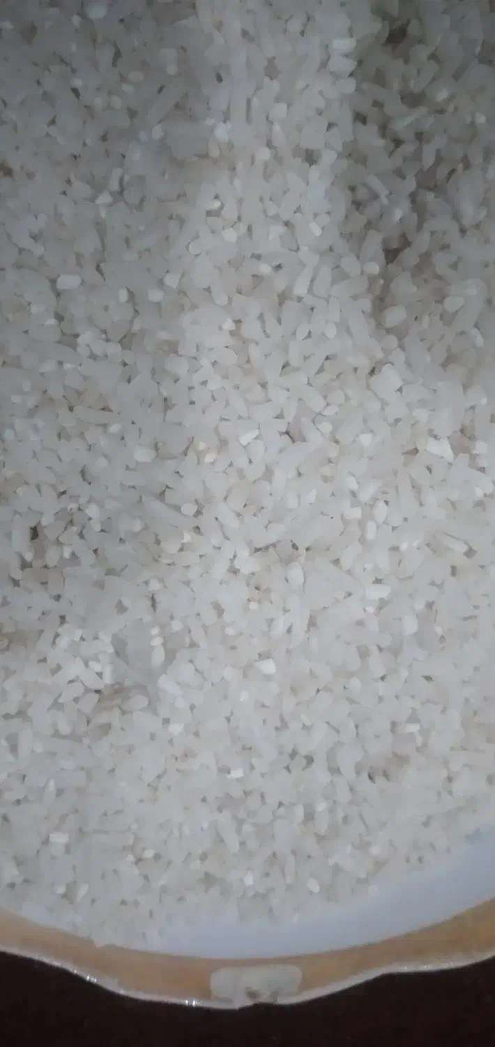 فروش نیم دانه هاشمی|خوردنی و آشامیدنی|تالش, هشتپر|دیوار