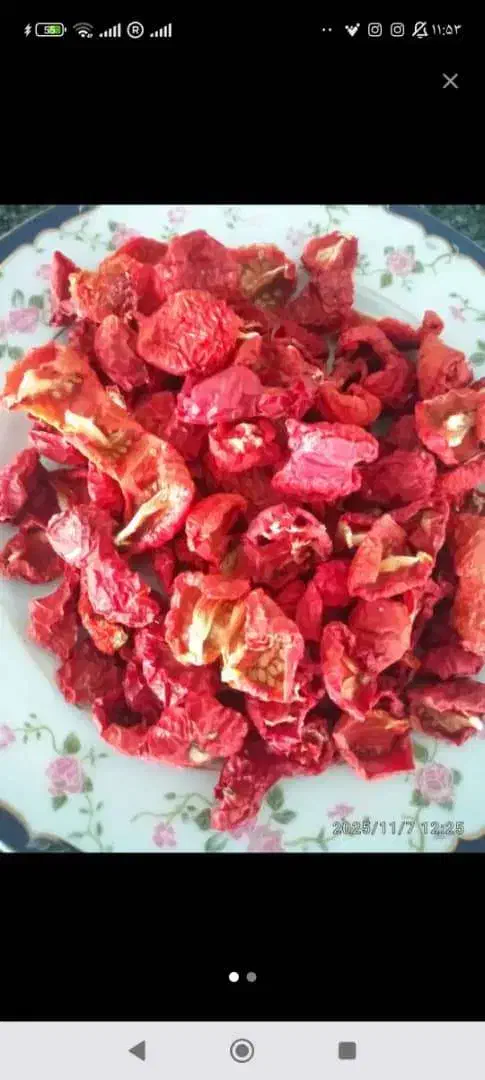 گوجه خشک شده|خوردنی و آشامیدنی|شاهین دژ, |دیوار