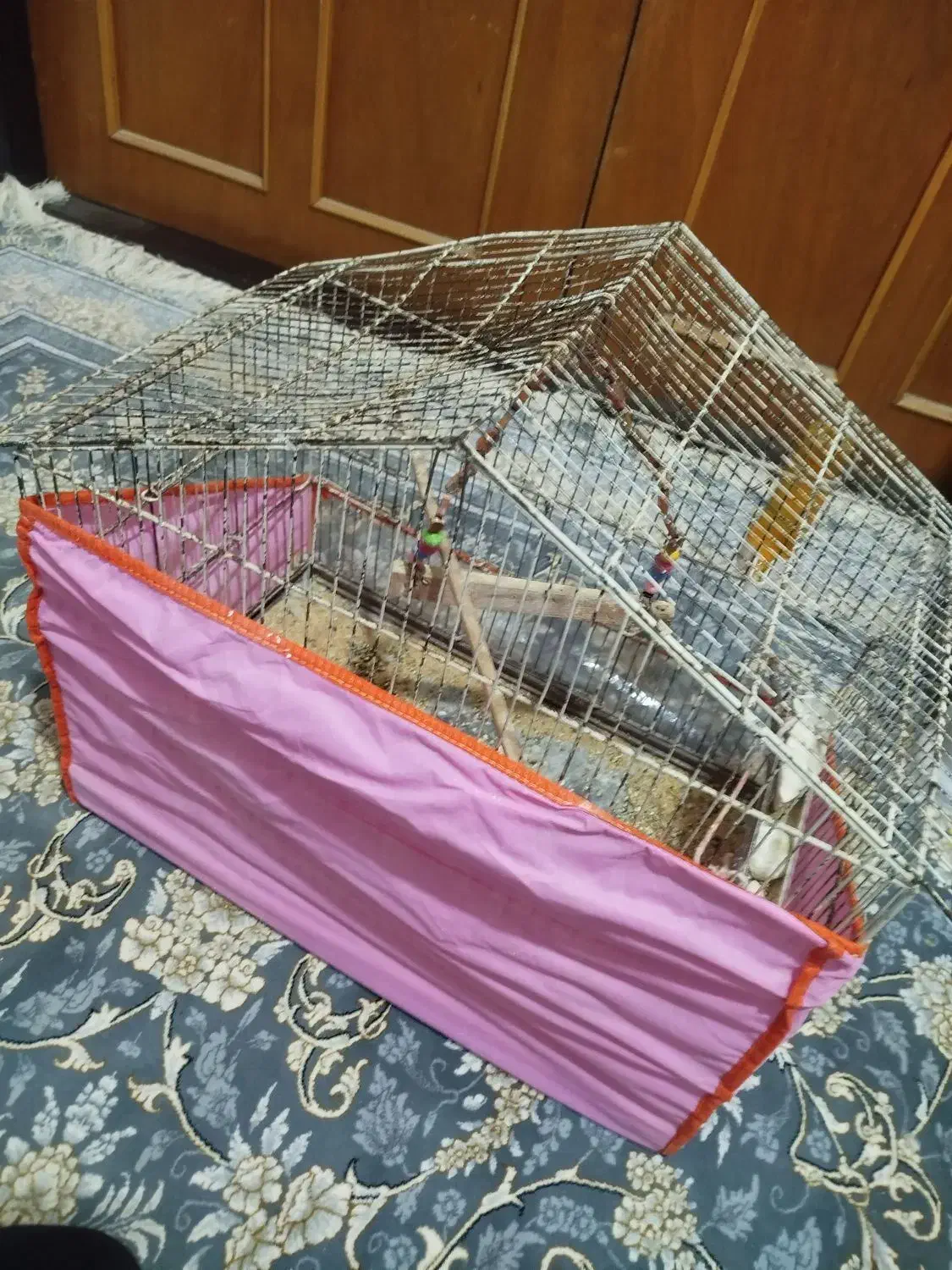 قفس|لوازم جانبی حیوانات|نیشابور, شهید جعفری|دیوار