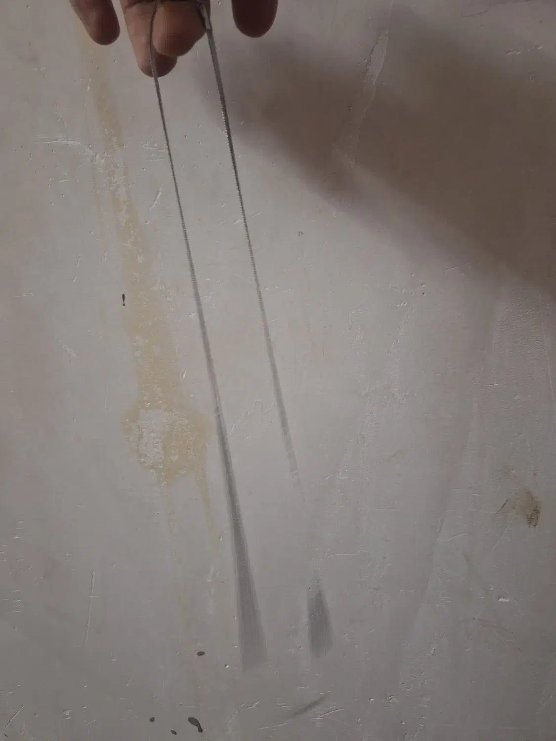 گردنبندماری|بدلیجات|آزادشهر, |دیوار