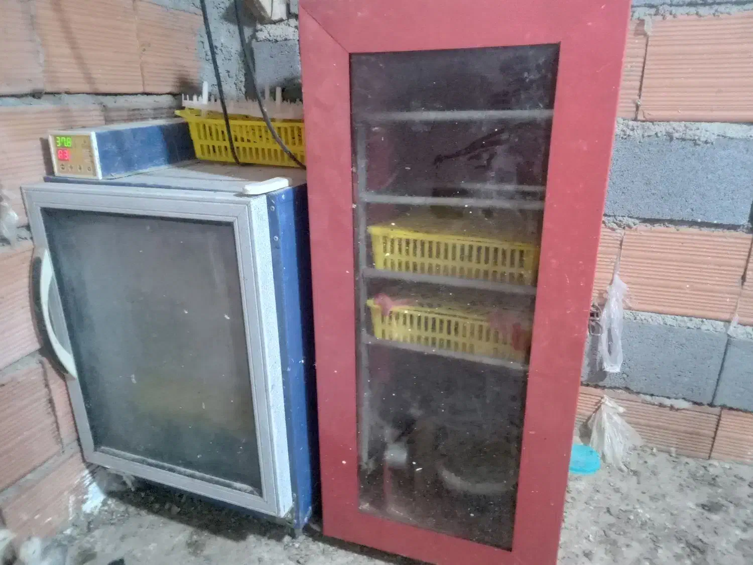 ۲ دستگاه جوجه کشی|لوازم جانبی حیوانات|مرزیکلا, |دیوار