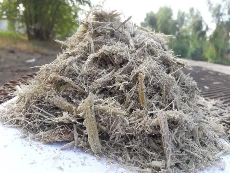 کاه|لوازم جانبی حیوانات|شیراز, محمدیه|دیوار