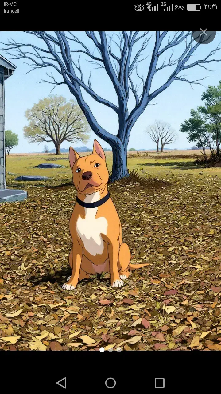 سگ پاکوتاه نگهبان و دهن پاک|سگ|قوچان, |دیوار