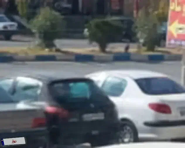 فروش ۲۰۶|خودرو سواری و وانت|ارژن, |دیوار