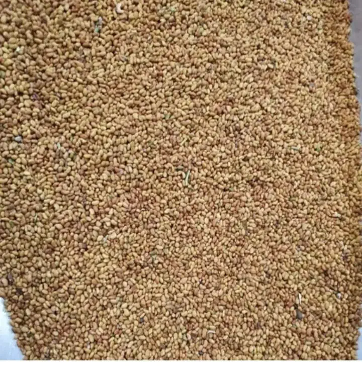 بذریونجه گرمسیری ومحلی|گل و گیاه طبیعی|کهنوج, |دیوار