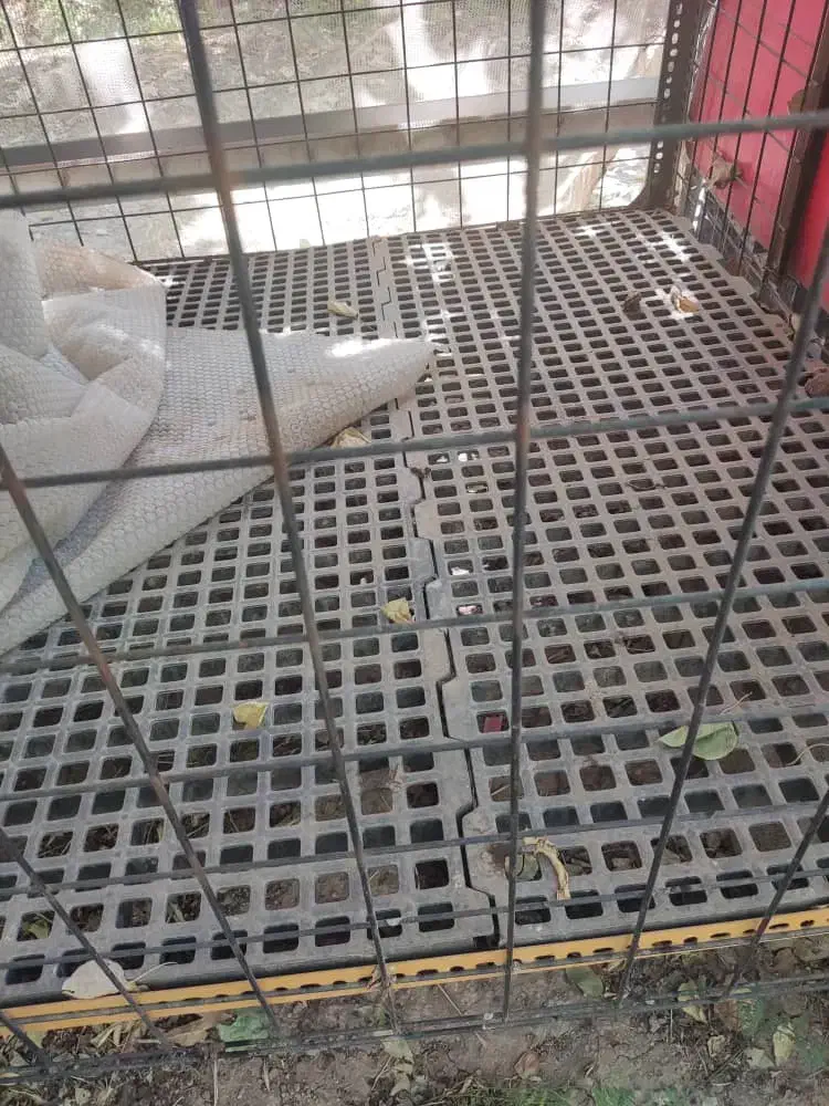 قفس مرغ و خروس|لوازم جانبی حیوانات|رباط‌کریم, منجیل آباد|دیوار