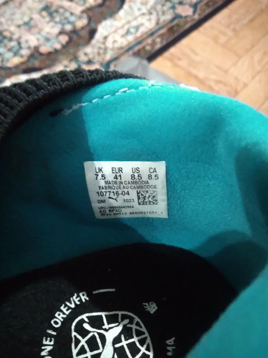 استوک پوما|کیف، کفش، کمربند|بندر انزلی, بشمن|دیوار