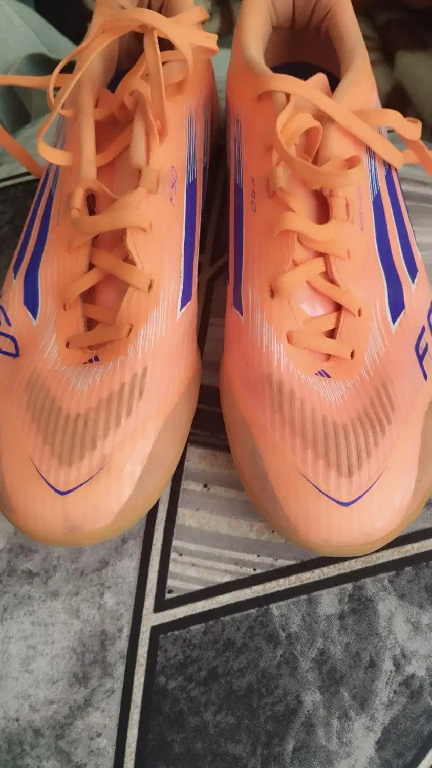 کفش سالنی|کیف، کفش، کمربند|فشاپویه, |دیوار