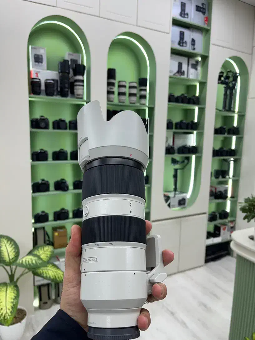 لنز 70/200 سونی f۲/۸|دوربین عکاسی و فیلم‌برداری|قم, بلوار امین و ساحلی|دیوار