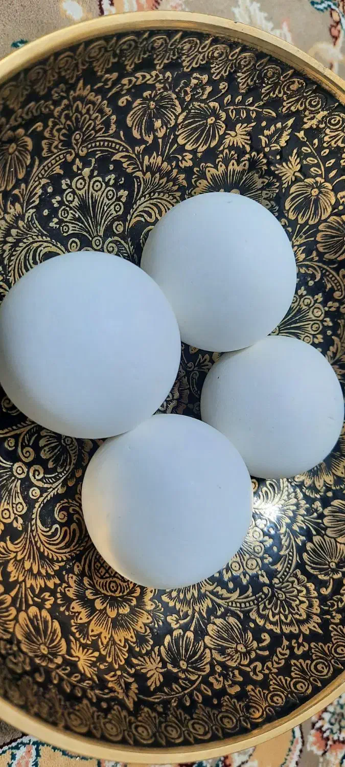 الماس اسیاب|جواهرات|پاکدشت, پاکدشت (مامازند)|دیوار