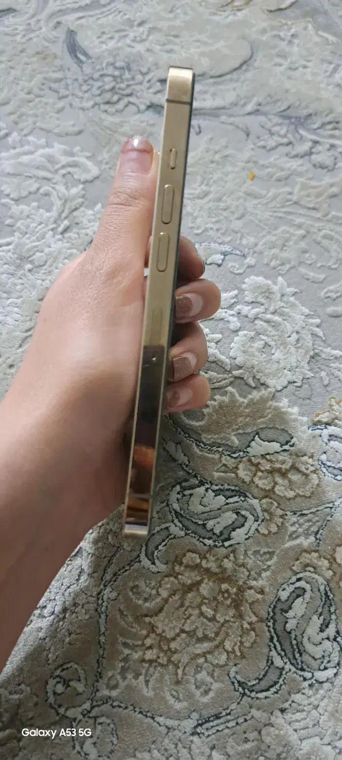 اپل iPhone 13 Pro با حافظهٔ ۲۵۶ گیگابایت|موبایل|مشکین‌دشت, |دیوار