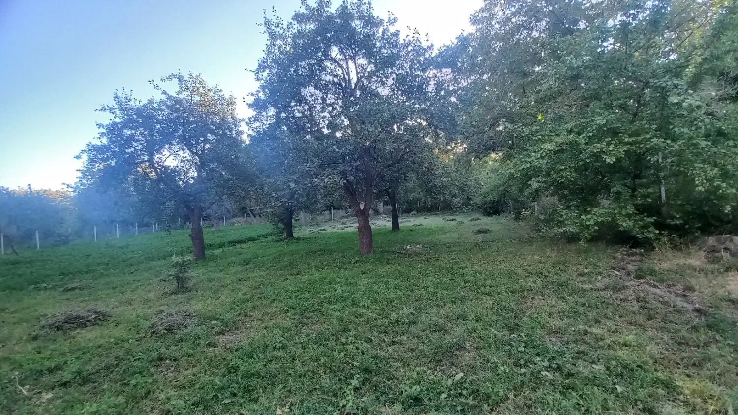 باغ|فروش زمین و ملک کلنگی|کندوان, |دیوار