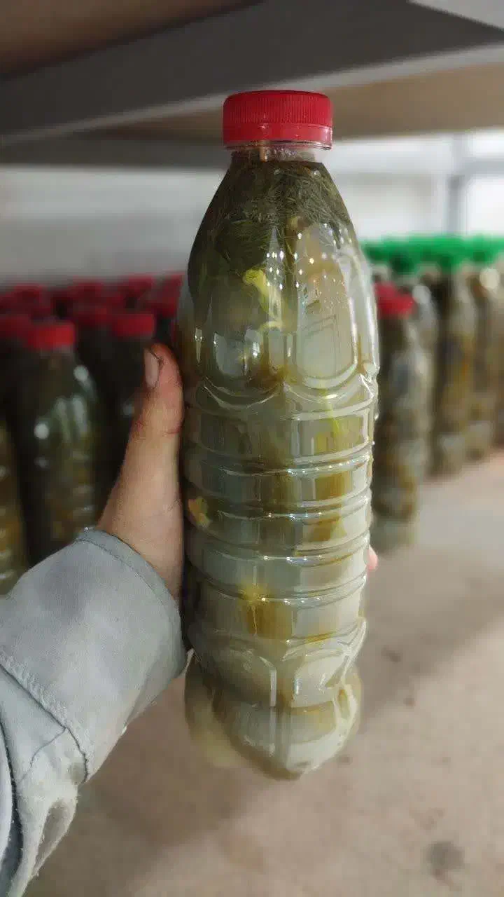 عرقیجات کاشان فقط|خوردنی و آشامیدنی|شاهین‌شهر, حاجی آباد|دیوار