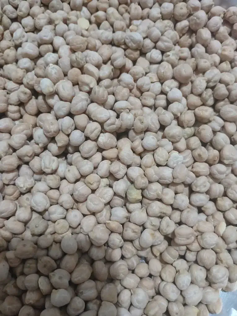 نخود|خوردنی و آشامیدنی|خرم‌آباد, |دیوار