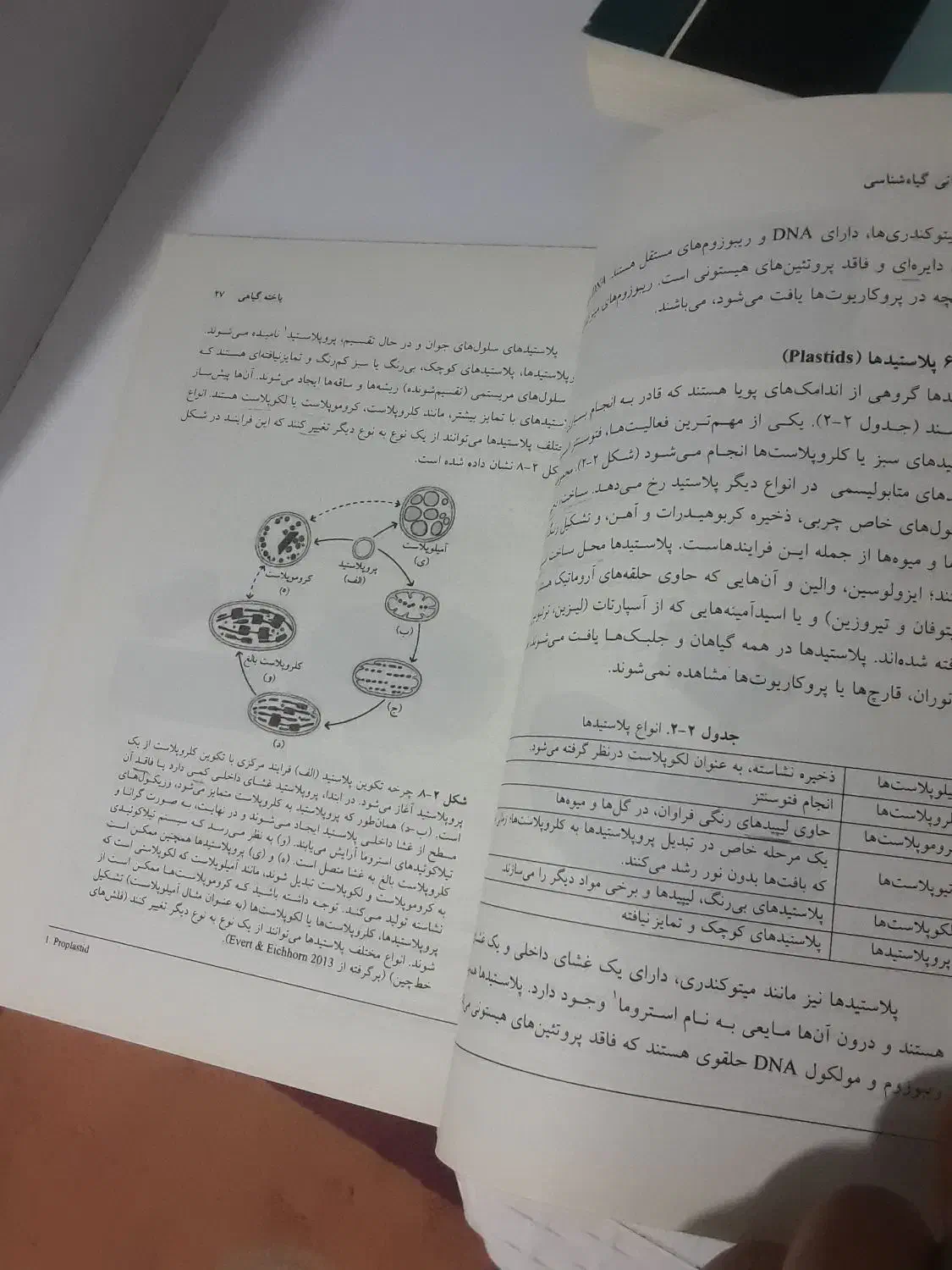 مبانی گیاه شناسی( پیام نور)|کتاب و مجله آموزشی|بهشهر, |دیوار