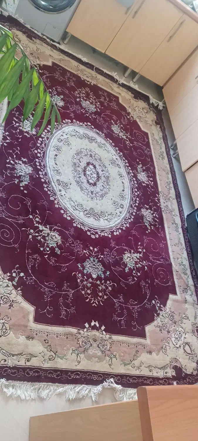 فرش ۶ متری زیر قیمت|فرش|فشم, |دیوار