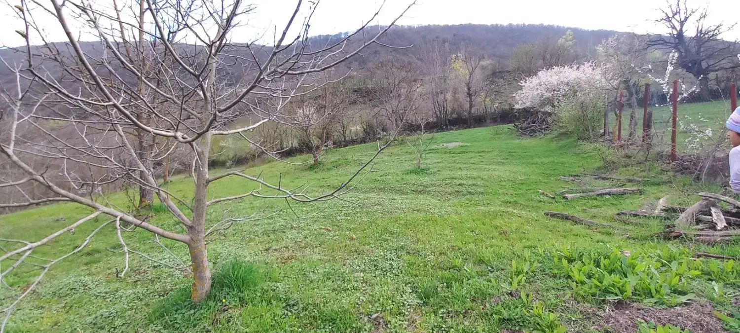 ۴ هزار متر زمین(باغ گردو)|فروش زمین و ملک کلنگی|برهسر, |دیوار