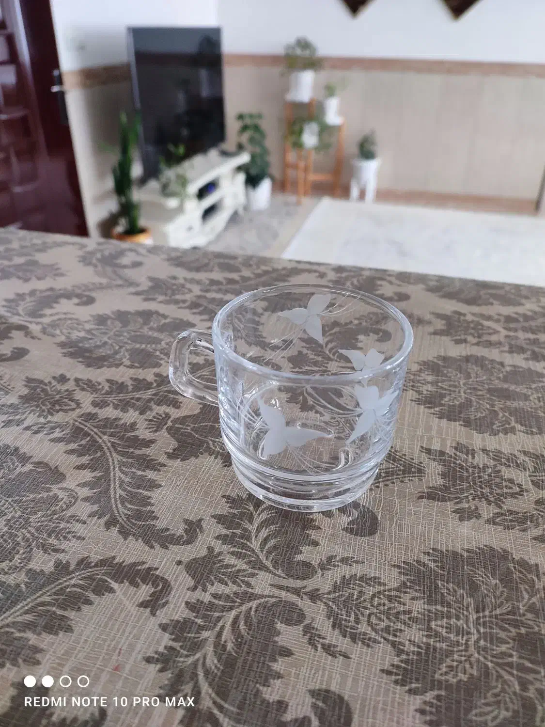 شیشه|ظروف سرو و پذیرایی|جوانرود, |دیوار