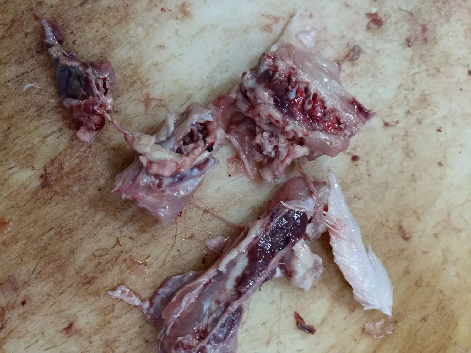 مرغ و پروتئین و ارگانیک سراجوجه طلایی|حراج|برازجان, |دیوار