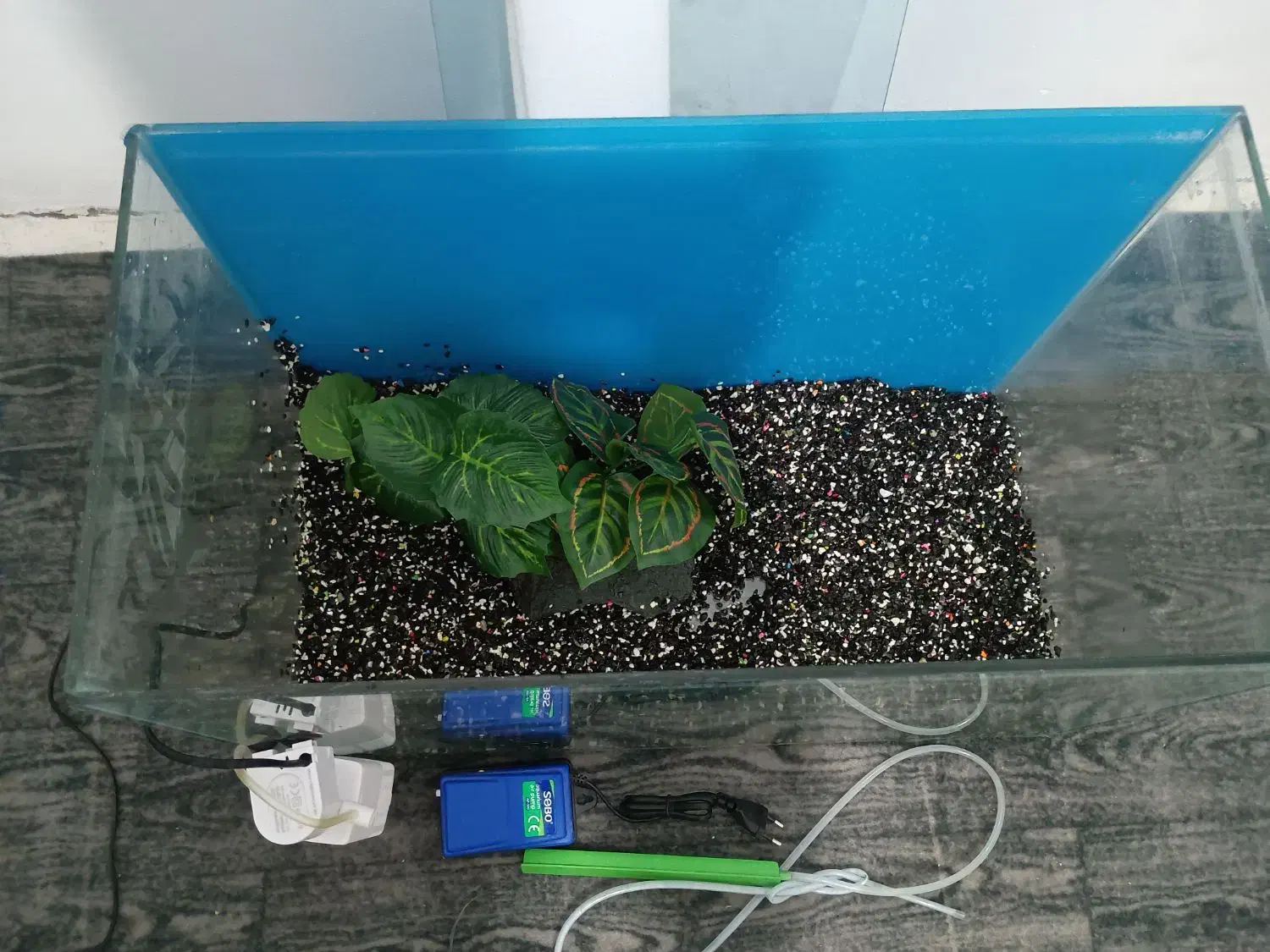 آکواریوم با تمام لوازم یکجا|ماهی|مشهد, نیزه|دیوار