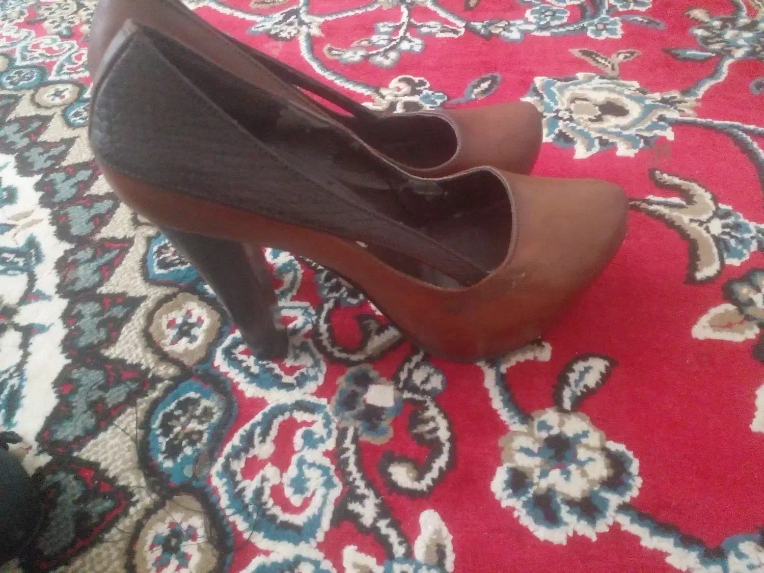 کفش مجلسی|کیف، کفش، کمربند|دهدشت, |دیوار