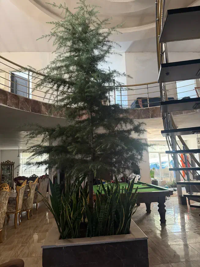 خانه ویلایی|فروش خانه و ویلا|هشتگرد, تهران دشت|دیوار