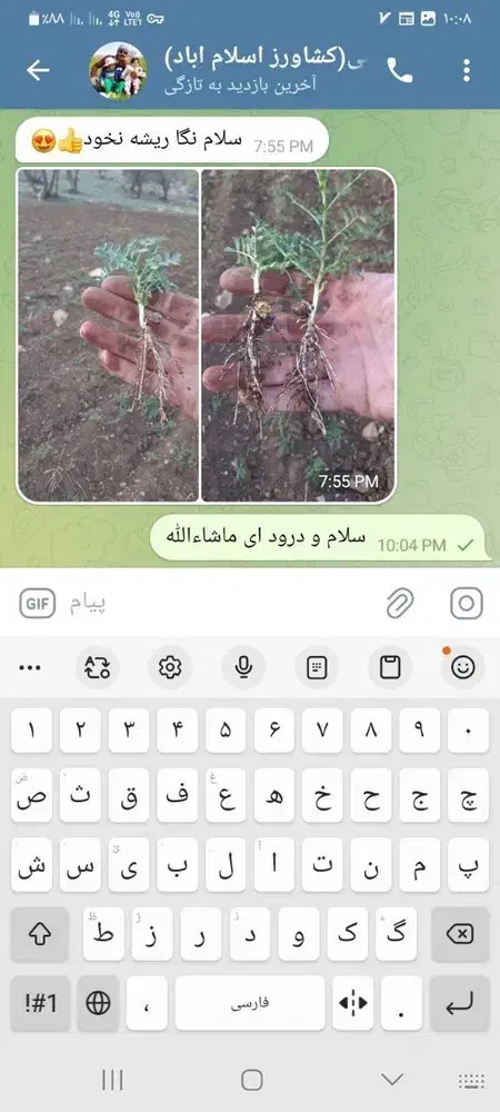 بهترین کودبرای افزایش محصول برای کشت پاییزه تضمینی|خدمات باغبانی و درختکاری|اهواز, بهارستان|دیوار