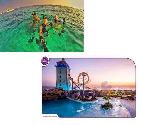 تور کیش آذر ماه آفر|تور و چارتر|شیراز, بازار|دیوار