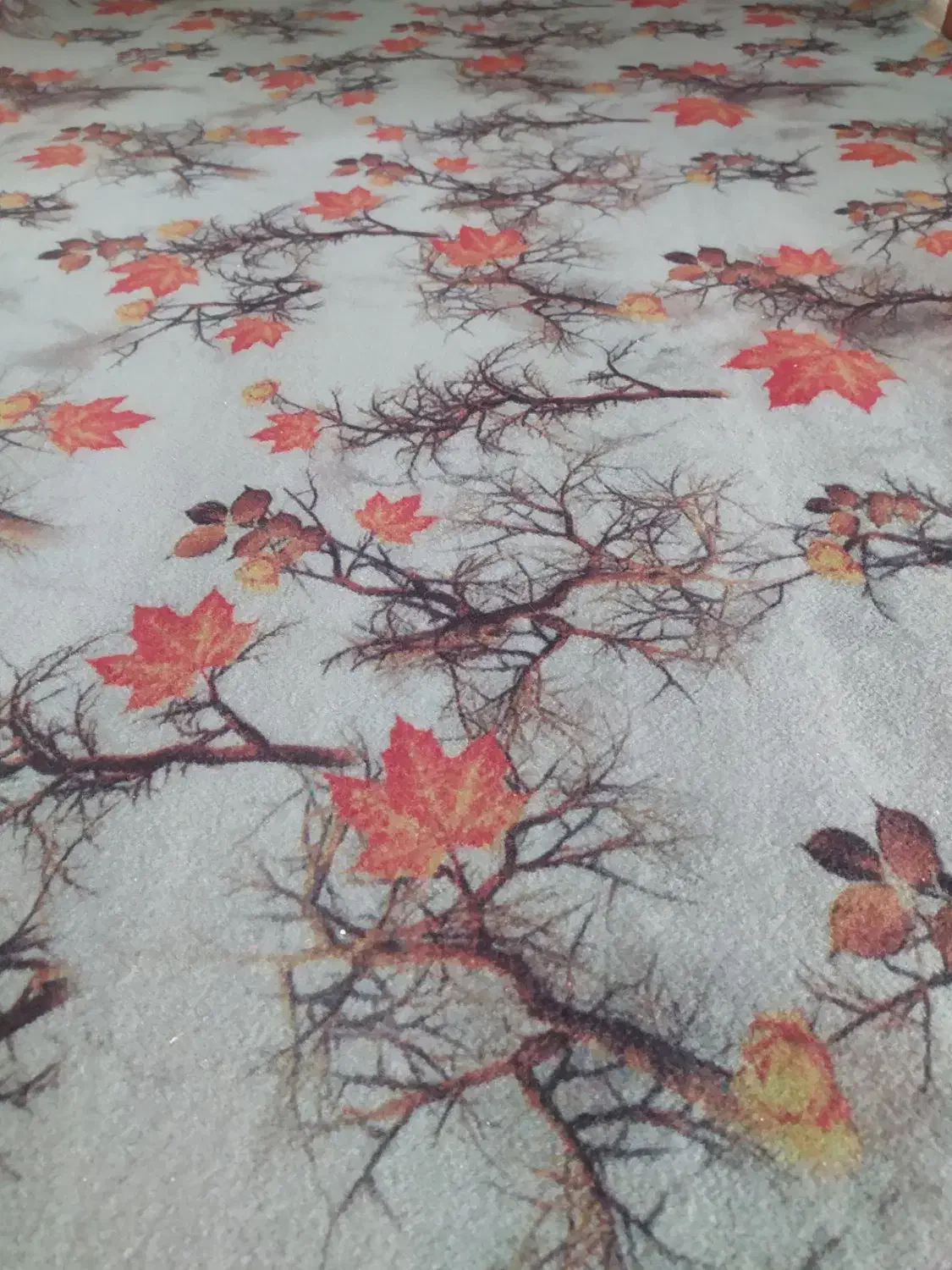 موکت|موکت|بیرجند, |دیوار