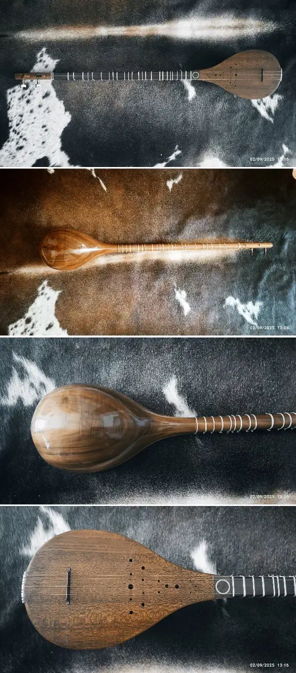 سه تار کاسه یک تکه گردو تمام حرفه ایی|سازهای سنتی|تهران, آسمان|دیوار