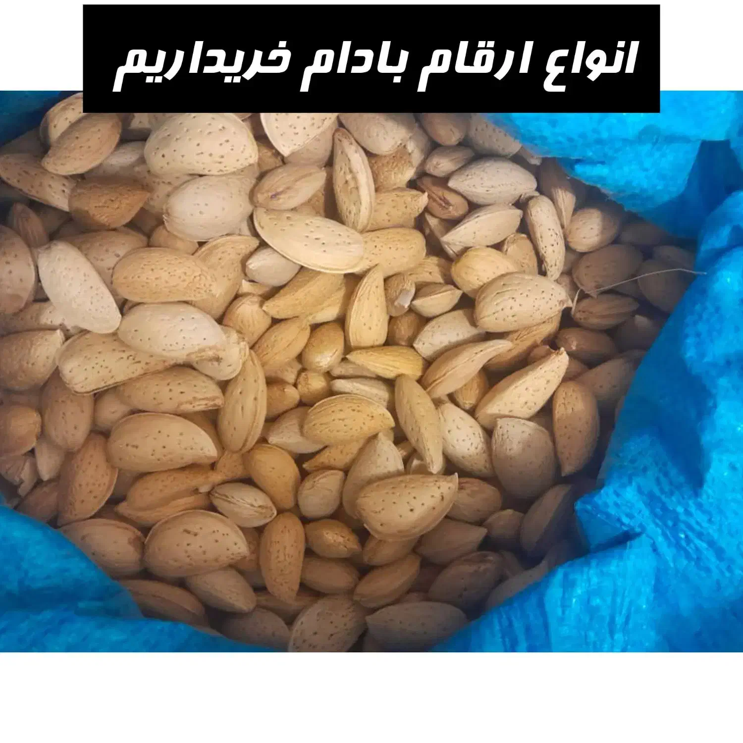 بادام درختی|خوردنی و آشامیدنی|شیراز, شهرک امام حسین|دیوار
