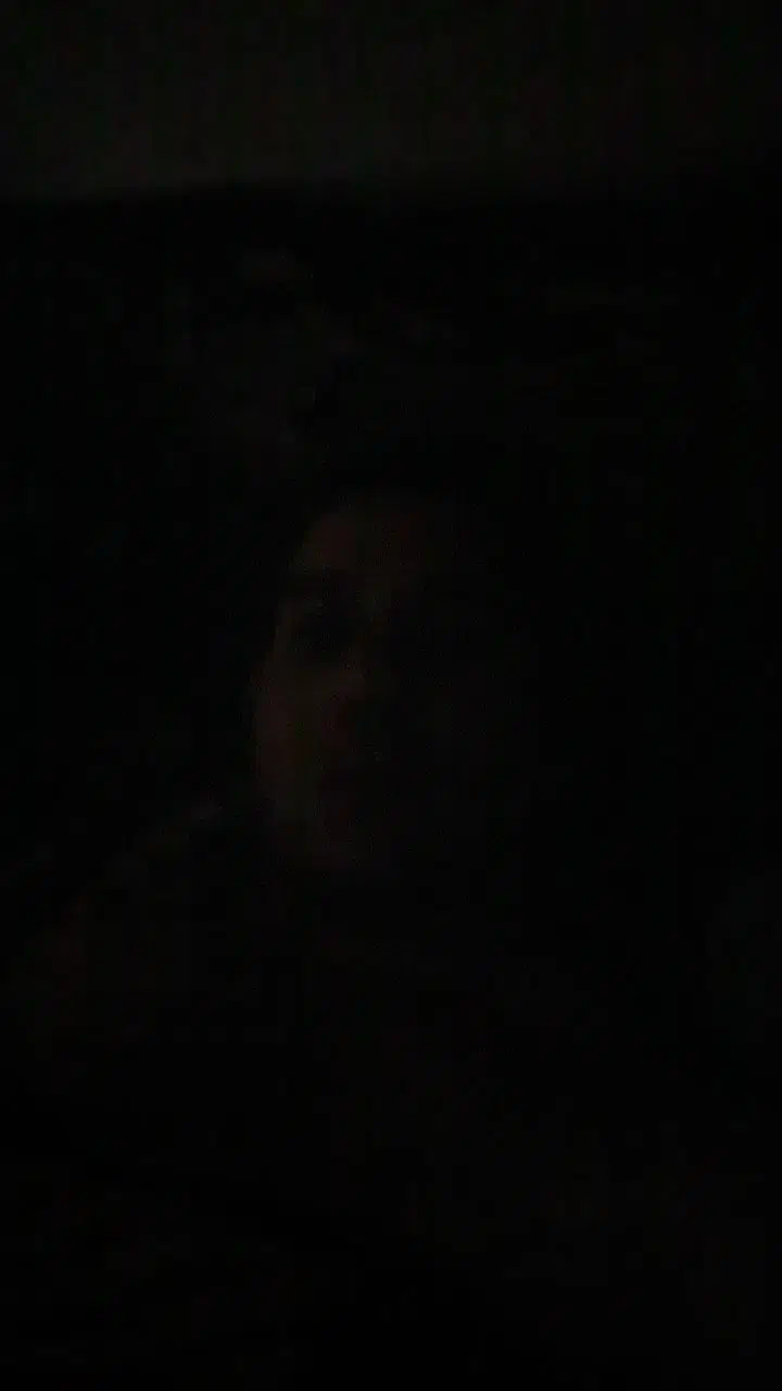 حمام عمومی|فعالیت داوطلبانه|مشهد, الهیه|دیوار