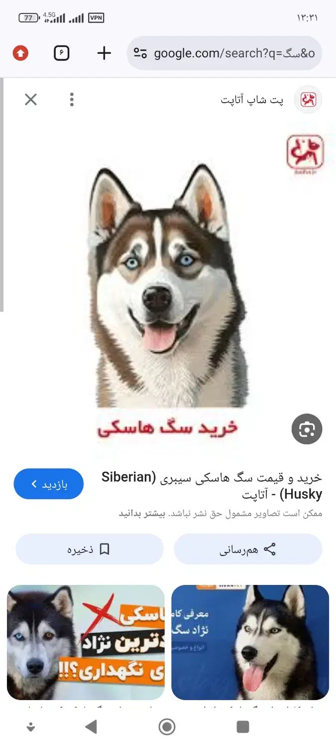 سگ گم شده|حیوانات|دوگنبدان, |دیوار