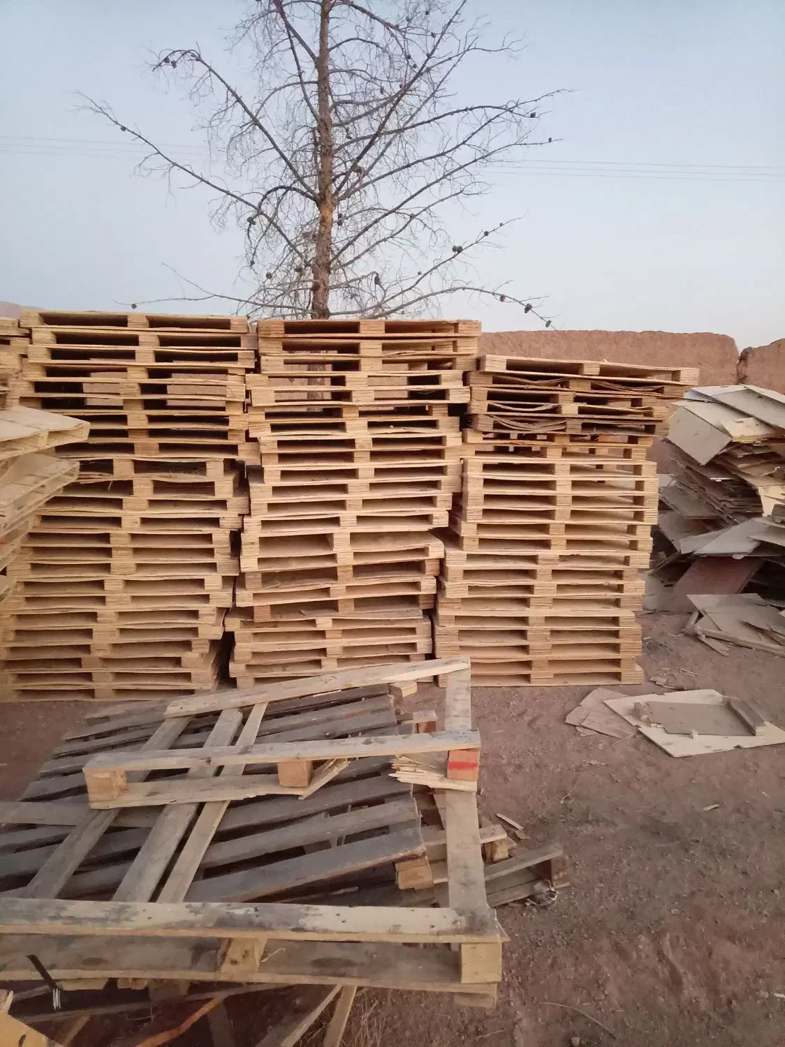 پالت هفت لایه|عمده‌فروشی|زیباشهر, |دیوار