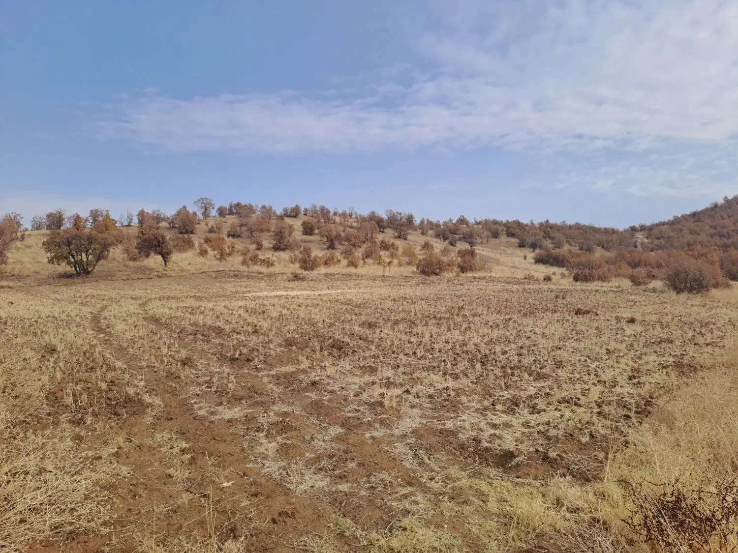 زمین کشاورزی|فروش زمین و ملک کلنگی|خاو و میرآباد, |دیوار