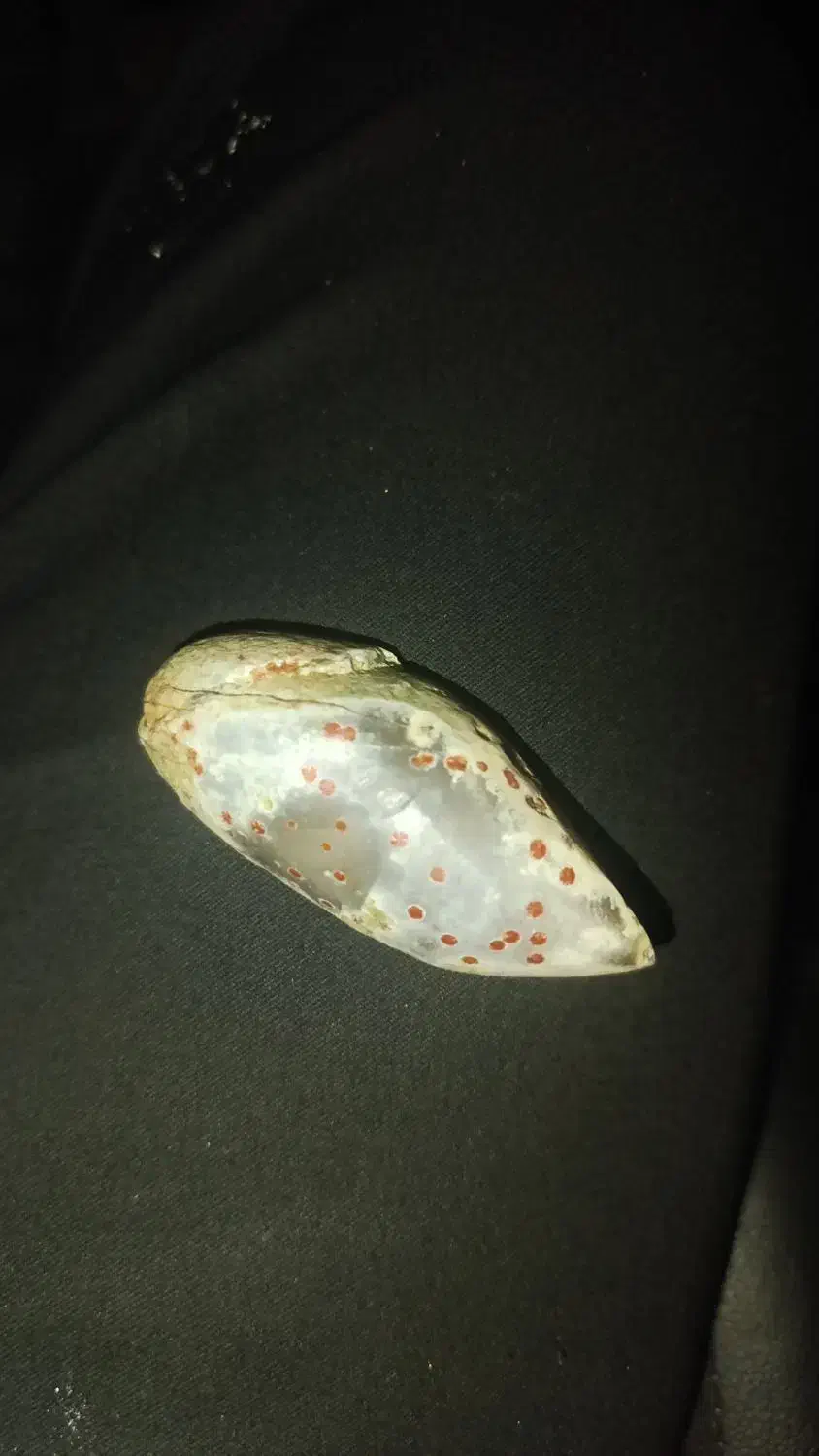 سنگ|کلکسیون و سرگرمی|کازرون, |دیوار